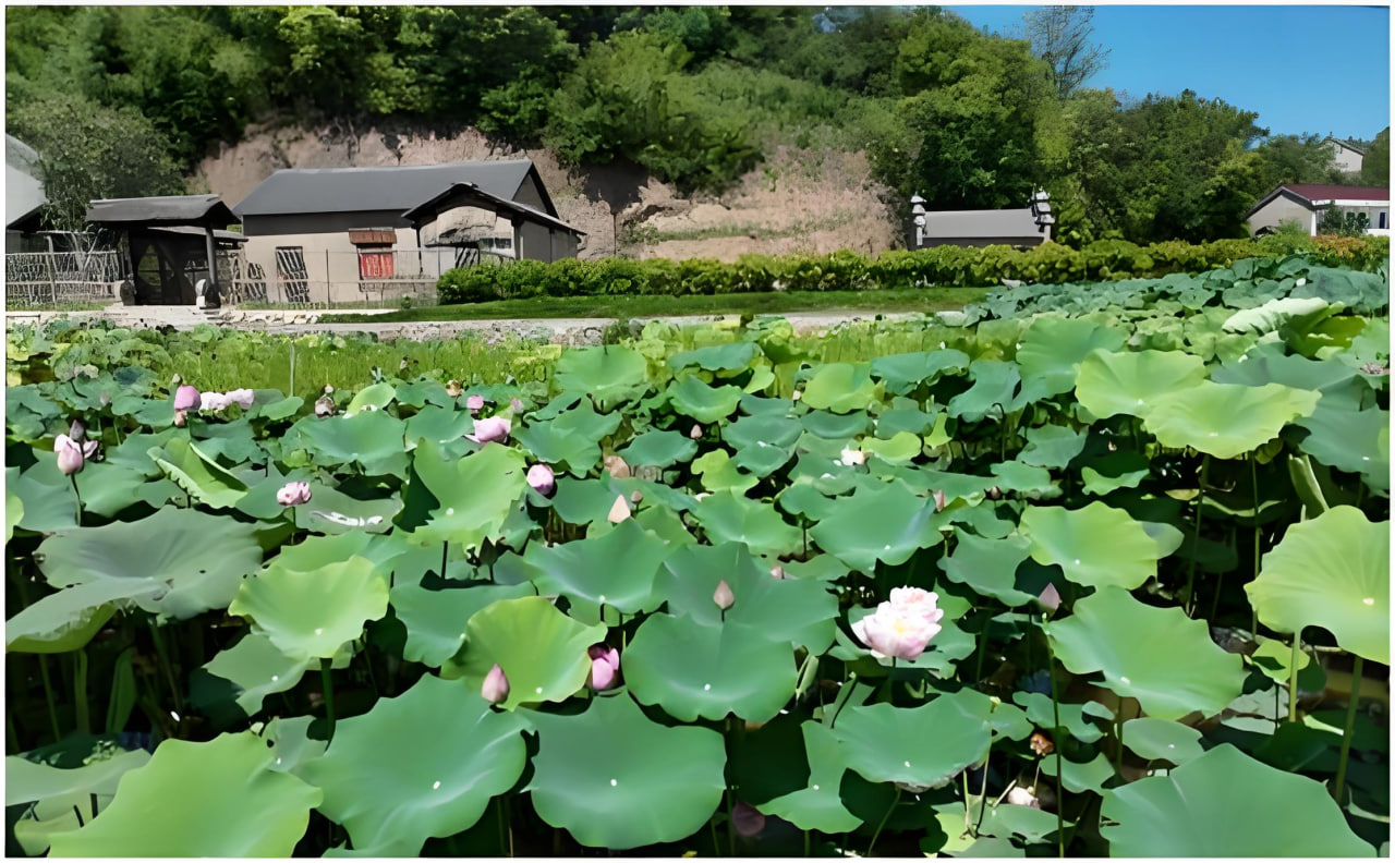 VR自然體驗(yàn)