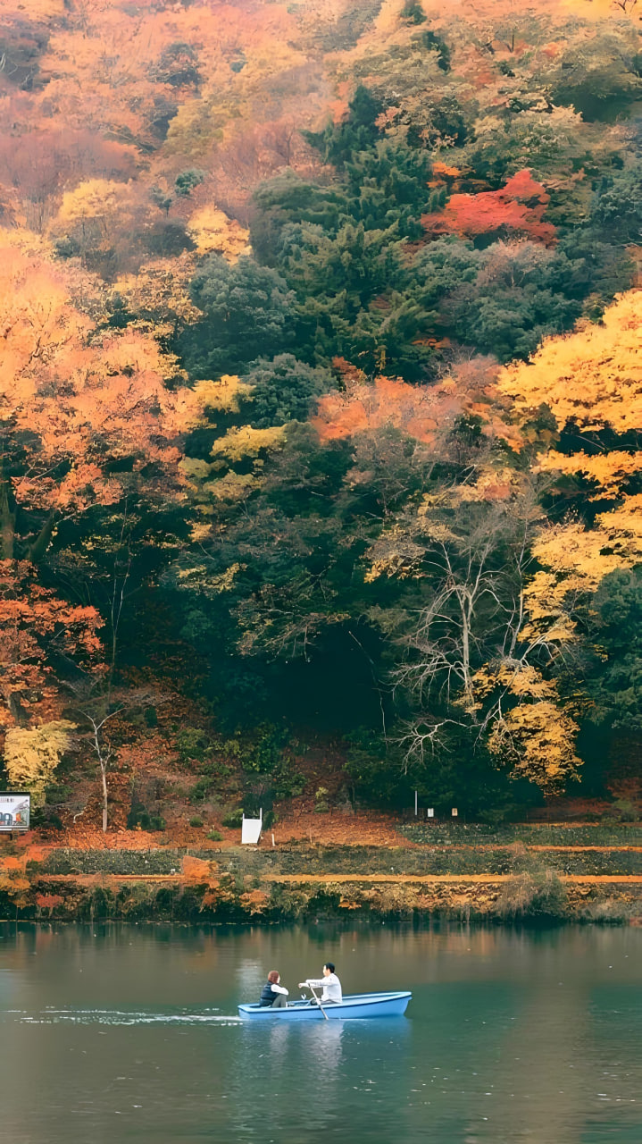 關(guān)于我們