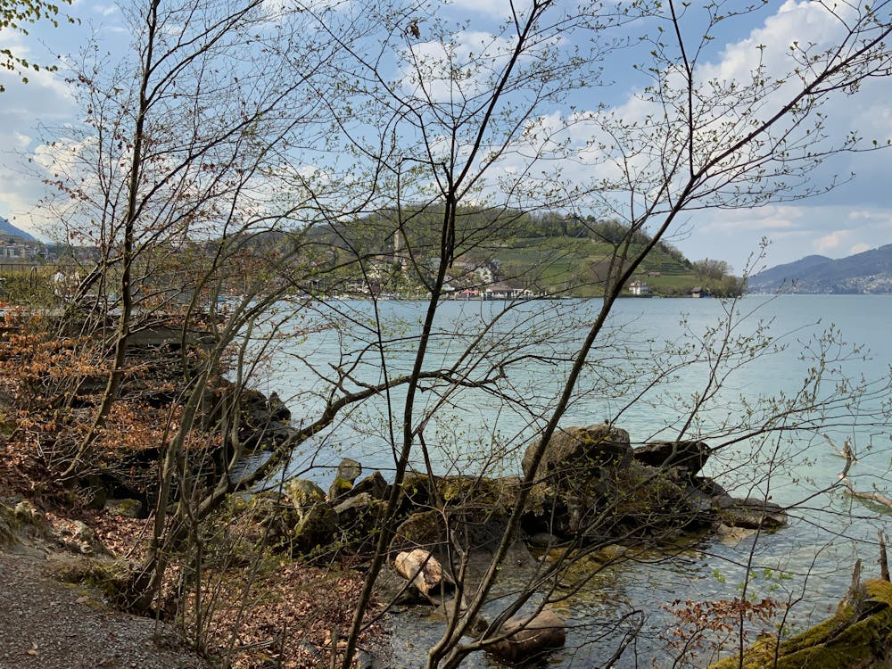 全球創(chuàng)新挑戰(zhàn)賽