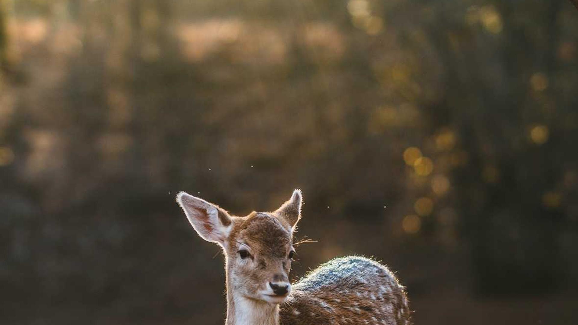 青少年科技創(chuàng)新大賽