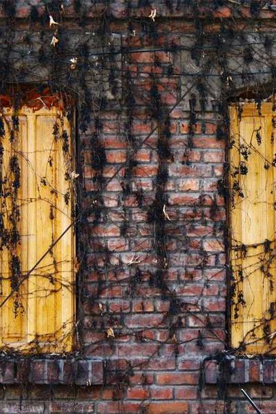 國(guó)際數(shù)學(xué)奧林匹克競(jìng)賽