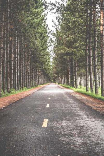 全球創(chuàng)業(yè)挑戰(zhàn)賽