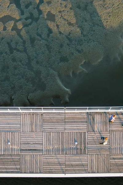 國(guó)際青少年科學(xué)競(jìng)賽